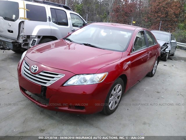 4T1BB46K48U037202 - 2008 TOYOTA CAMRY HYBRID RED photo 2