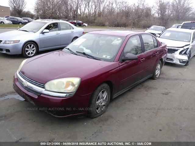 1G1ZT54854F151567 - 2004 CHEVROLET MALIBU LS მუქწითელი ფოტო 2