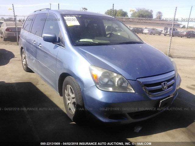 5FNRL38715B041408 - 2005 HONDA ODYSSEY EXL ლურჯი ფოტო 1