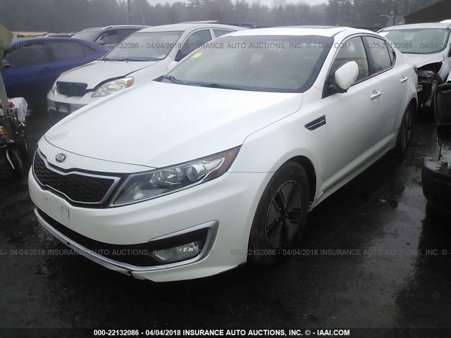 KNAGM4AD8C5031447 - 2012 KIA OPTIMA HYBRID WHITE photo 2