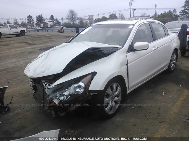 1HGCP3F83AA023261 - 2010 HONDA ACCORD EXL WHITE photo 2