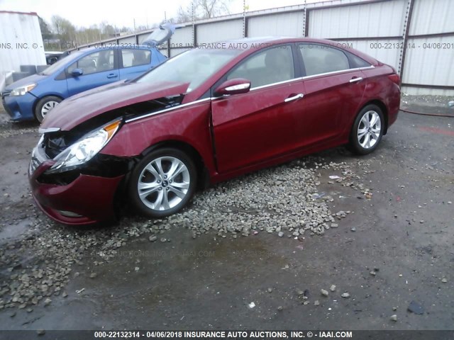 5NPEC4AC4BH099246 - 2011 HYUNDAI SONATA SE/LIMITED MAROON photo 2