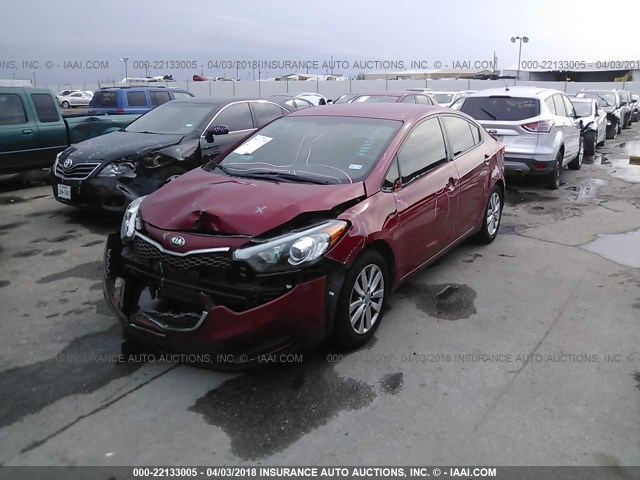 KNAFX4A68E5213382 - 2014 KIA FORTE LX RED photo 2