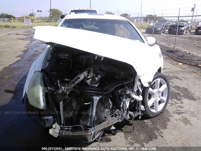 1N4BA41E35C832984 - 2005 NISSAN MAXIMA SE/SL WHITE photo 6