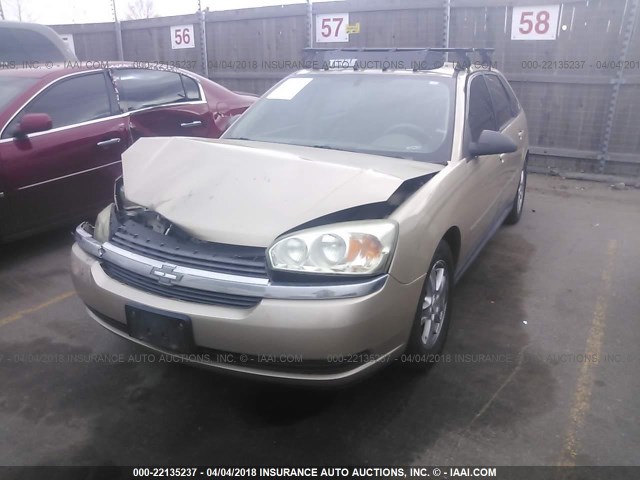 1G1ZT64855F221107 - 2005 CHEVROLET MALIBU MAXX LS 棕色 照片 2
