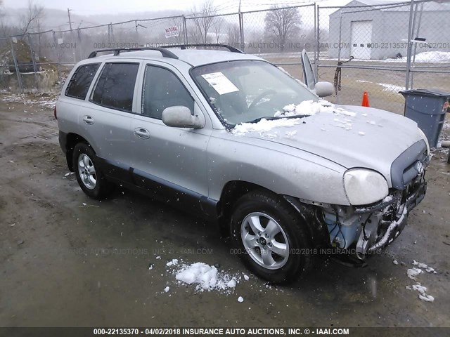 KM8SC13E65U935919 - 2005 HYUNDAI SANTA FE GLS/LX GRAY photo 1