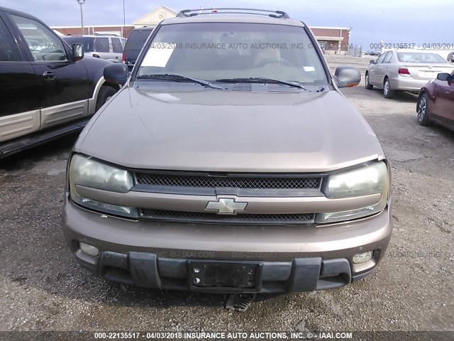 1GNDS13S122342182 - 2002 CHEVROLET TRAILBLAZER  GOLD photo 6