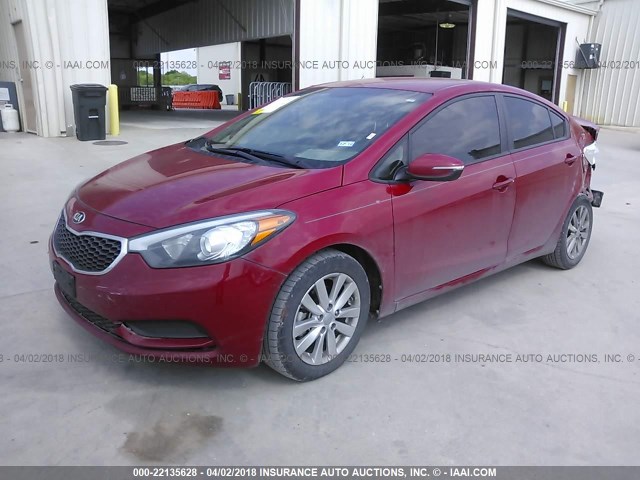 KNAFX4A61G5608166 - 2016 KIA FORTE LX RED photo 2