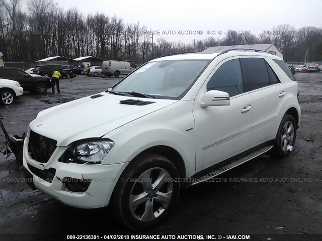 4JGBB2FB7BA631666 - 2011 MERCEDES-BENZ ML 350 BLUETEC WHITE photo 2