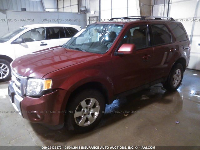 1FMCU0E71BKB29004 - 2011 FORD ESCAPE LIMITED RED photo 2