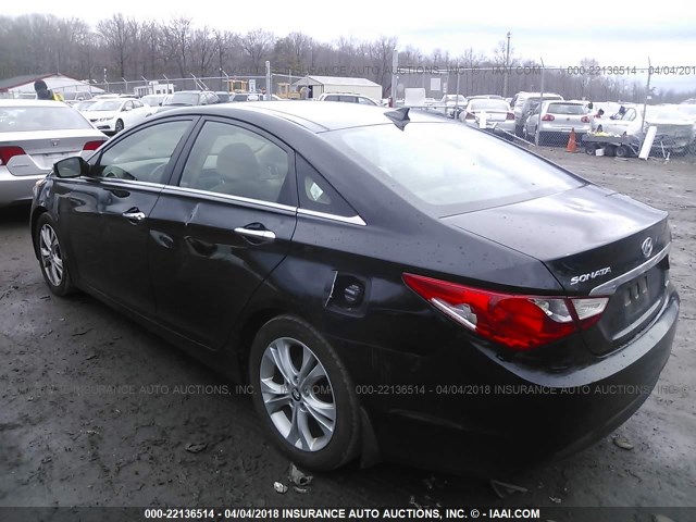 5NPEC4AC5CH336392 - 2012 HYUNDAI SONATA SE/LIMITED BLACK photo 3