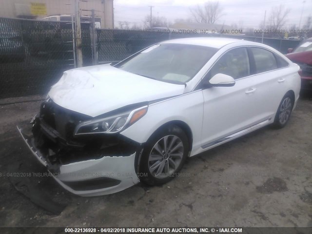 5NPE34AF9GH431053 - 2016 HYUNDAI SONATA SPORT/LIMITED WHITE photo 2