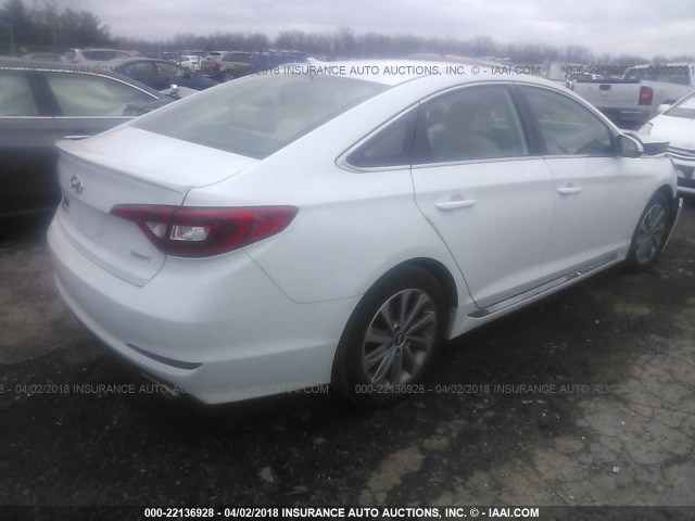 5NPE34AF9GH431053 - 2016 HYUNDAI SONATA SPORT/LIMITED WHITE photo 4