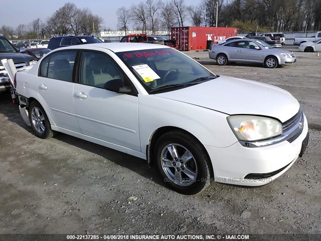 1G1ZT54815F263574 - 2005 CHEVROLET MALIBU LS 白色 照片 1