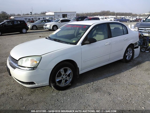 1G1ZT54815F263574 - 2005 CHEVROLET MALIBU LS 白色 照片 2