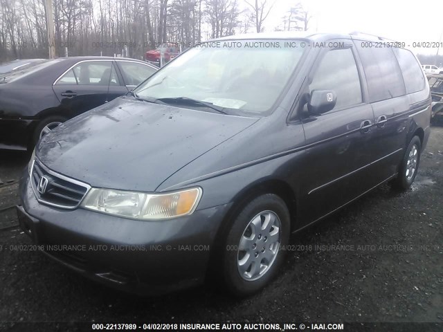 5FNRL18073B108498 - 2003 HONDA ODYSSEY EXL ნაცრისფერი ფოტო 2