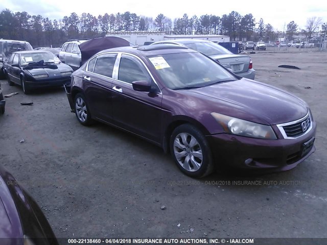 1HGCP36809A028400 - 2009 HONDA ACCORD EXL BURGUNDY photo 1