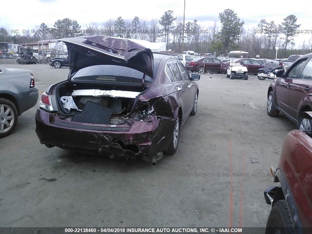 1HGCP36809A028400 - 2009 HONDA ACCORD EXL BURGUNDY photo 4