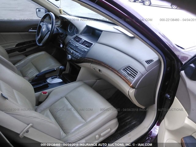 1HGCP36809A028400 - 2009 HONDA ACCORD EXL BURGUNDY photo 5