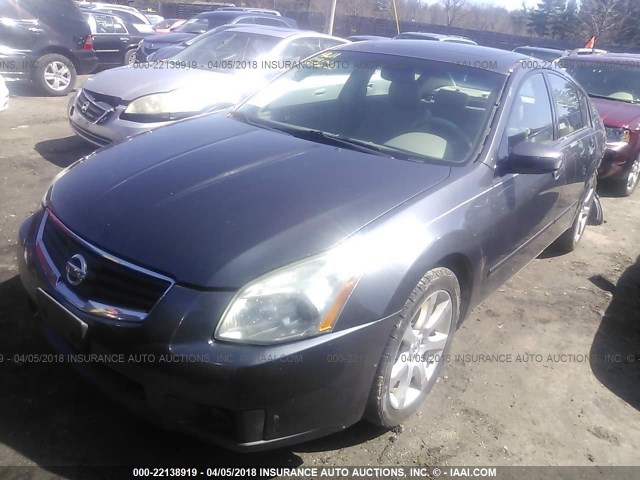 1N4BA41E17C842254 - 2007 NISSAN MAXIMA SE/SL GRAY photo 2