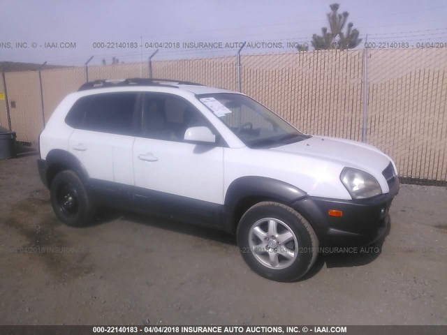 KM8JN12D05U222139 - 2005 HYUNDAI TUCSON GLS/LX WHITE photo 1