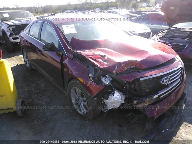 5NPE24AF3FH004470 - 2015 HYUNDAI SONATA SE RED photo 1