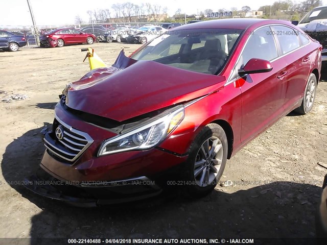 5NPE24AF3FH004470 - 2015 HYUNDAI SONATA SE RED photo 2