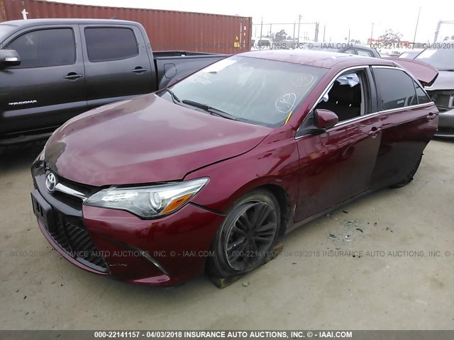 4T1BF1FK4FU977287 - 2015 TOYOTA CAMRY LE/XLE/SE/XSE Bordeaux Foto 2