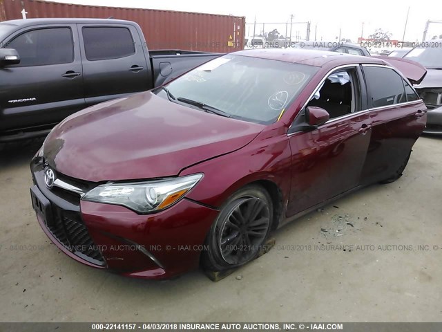 4T1BF1FK4FU977287 - 2015 TOYOTA CAMRY LE/XLE/SE/XSE BURGUNDY photo 2