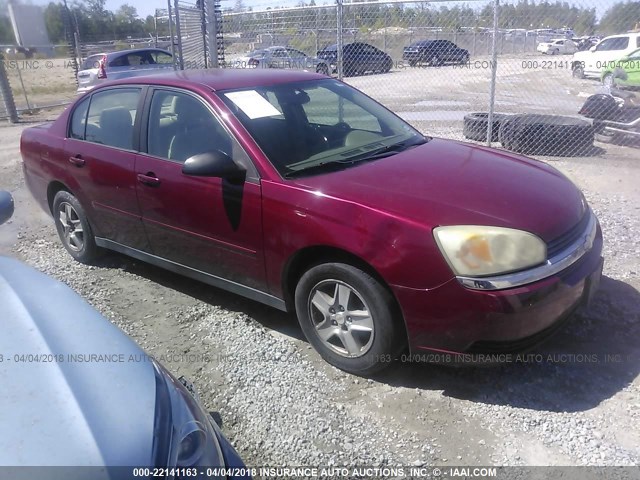 1G1ZT54855F255137 - 2005 CHEVROLET MALIBU LS 红色 照片 1