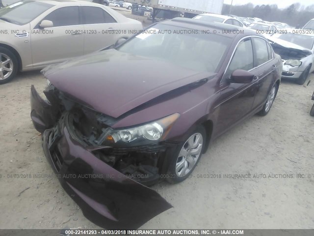 1HGCP2F83AA090954 - 2010 HONDA ACCORD EXL BURGUNDY photo 2