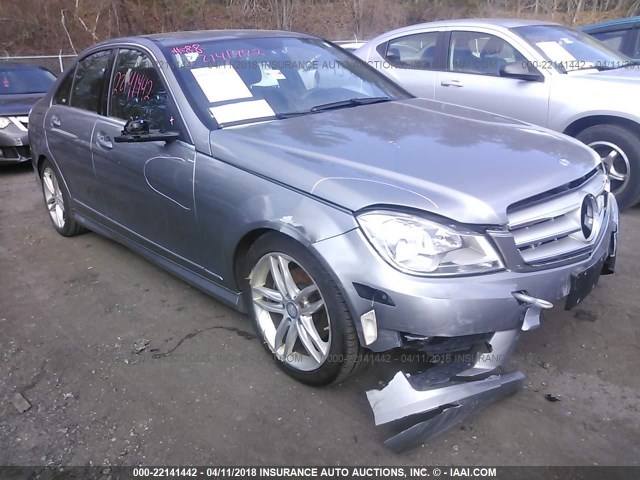 WDDGF8BBXCR205180 - 2012 MERCEDES-BENZ C 300 4MATIC GRAY photo 1