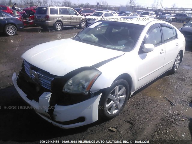 1N4BA41E54C834654 - 2004 NISSAN MAXIMA SE/SL WHITE photo 2