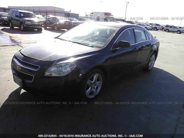 1G1ZB5EB4A4144775 - 2010 CHEVROLET MALIBU LS 蓝色 照片 2