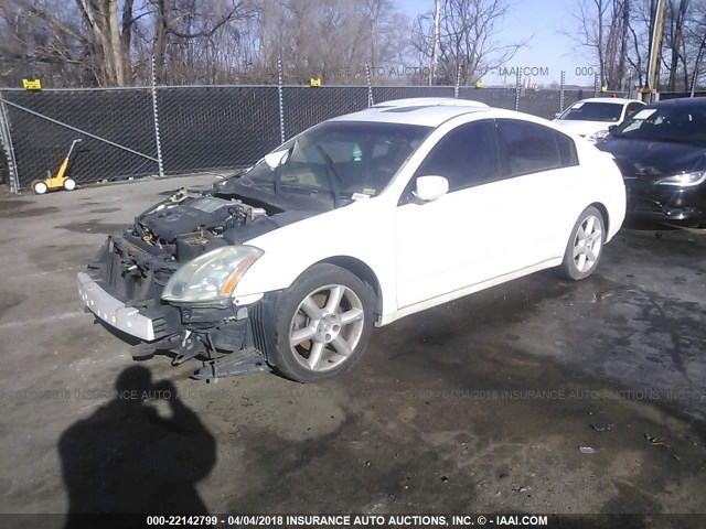 1N4BA41E16C810936 - 2006 NISSAN MAXIMA SE/SL WHITE photo 2