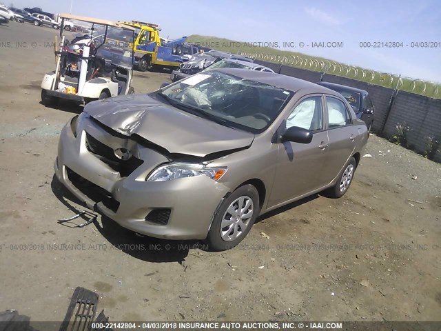 1NXBU4EE9AZ215620 - 2010 TOYOTA COROLLA S/LE/XLE GOLD photo 2