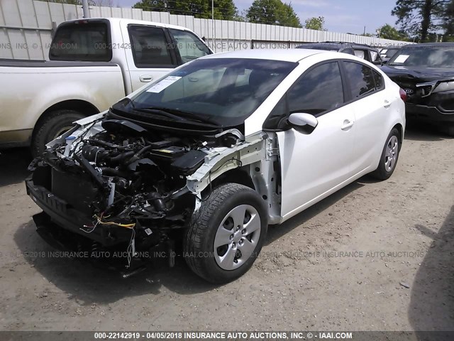 KNAFK4A64G5607155 - 2016 KIA FORTE LX WHITE photo 2