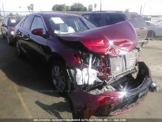 4T1BF1FK7HU677231 - 2017 TOYOTA CAMRY LE/XLE/SE/XSE RED photo 1