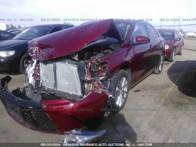 4T1BF1FK7HU677231 - 2017 TOYOTA CAMRY LE/XLE/SE/XSE RED photo 2