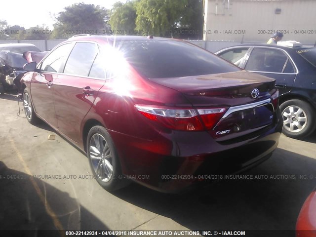 4T1BF1FK7HU677231 - 2017 TOYOTA CAMRY LE/XLE/SE/XSE RED photo 3