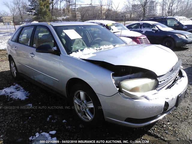 1G1ZT64804F212748 - 2004 CHEVROLET MALIBU MAXX LS SILVER photo 1