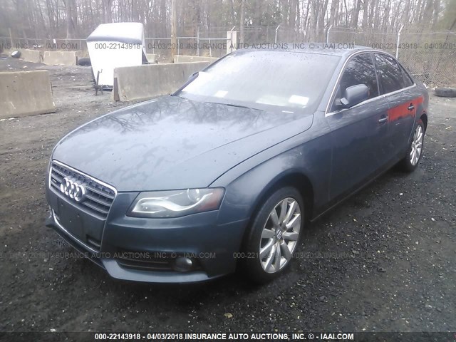 WAUFFAFL7BN026579 - 2011 AUDI A4 PREMIUM PLUS Dark Blue photo 2