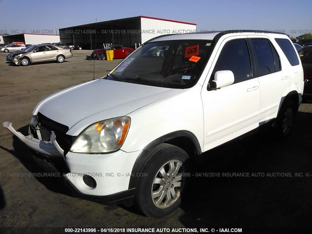 JHLRD78986C023513 - 2006 HONDA CR-V SE/EX WHITE photo 2