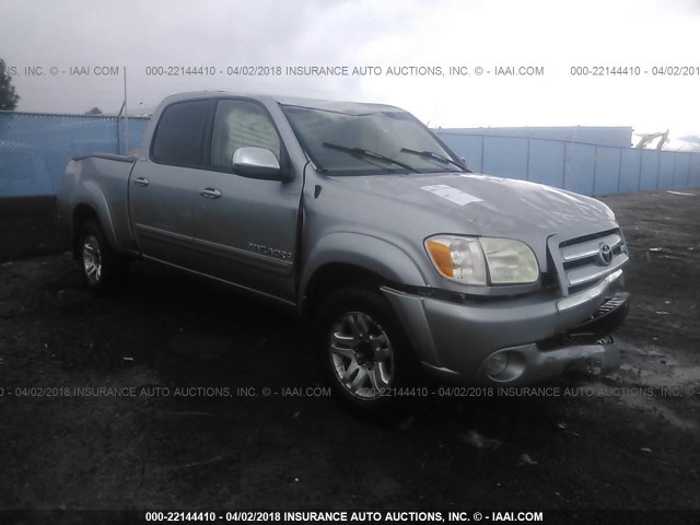5TBDT44106S518661 - 2006 TOYOTA TUNDRA DOUBLE CAB SR5 GRAY photo 1