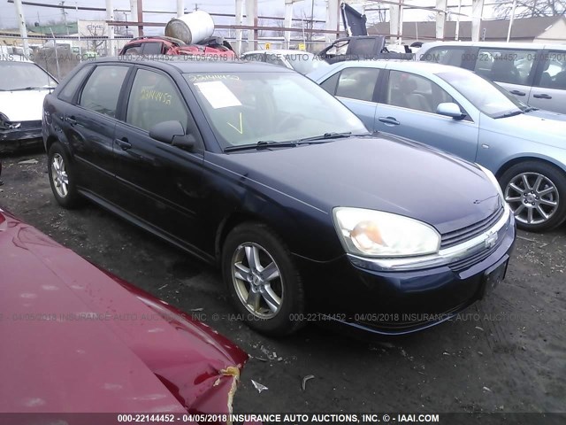 1G1ZT62855F247967 - 2005 CHEVROLET MALIBU MAXX LS 蓝色 照片 1