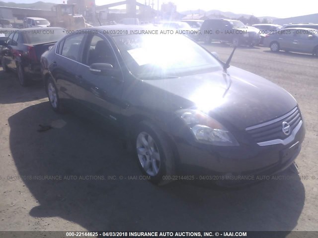 1N4CL21E38C274853 - 2008 NISSAN ALTIMA HYBRID BLACK photo 1