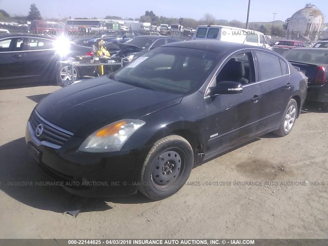 1N4CL21E38C274853 - 2008 NISSAN ALTIMA HYBRID BLACK photo 2