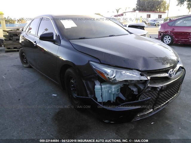 4T1BF1FK7FU065088 - 2015 TOYOTA CAMRY LE/XLE/SE/XSE BLACK photo 1