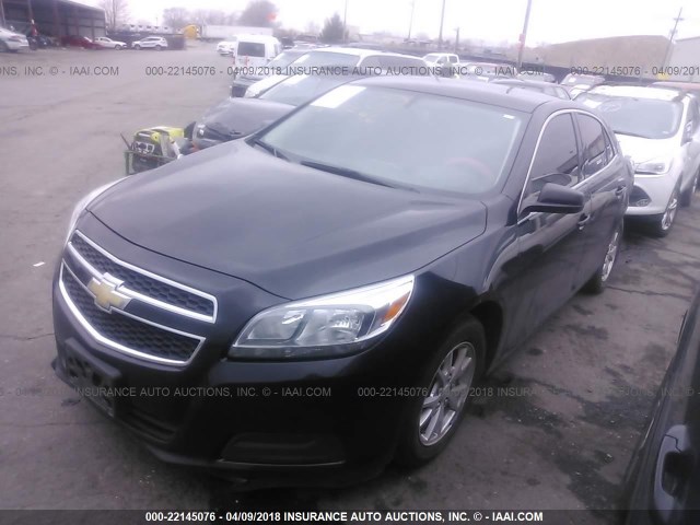1G11A5SA3DU149238 - 2013 CHEVROLET MALIBU LS შავი ფოტო 2