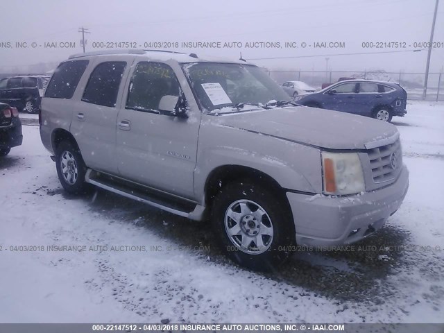 1GYEK63N14R136465 - 2004 CADILLAC ESCALADE LUXURY ნაცრისფერი ფოტო 1